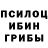 Псилоцибиновые грибы GOLDEN TEACHER Abdullokh Karimov