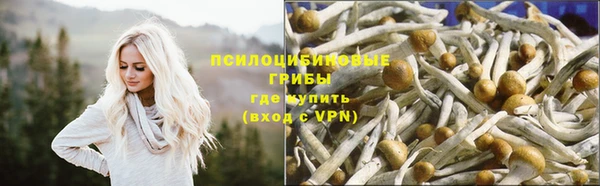 гидропоника Алексеевка