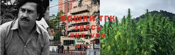 шишки Алзамай